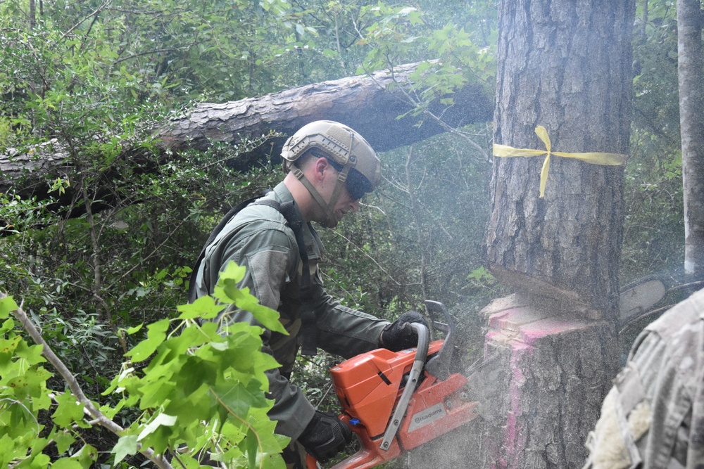 Task Force 5 offers JRTC, Fort Polk units abatis training