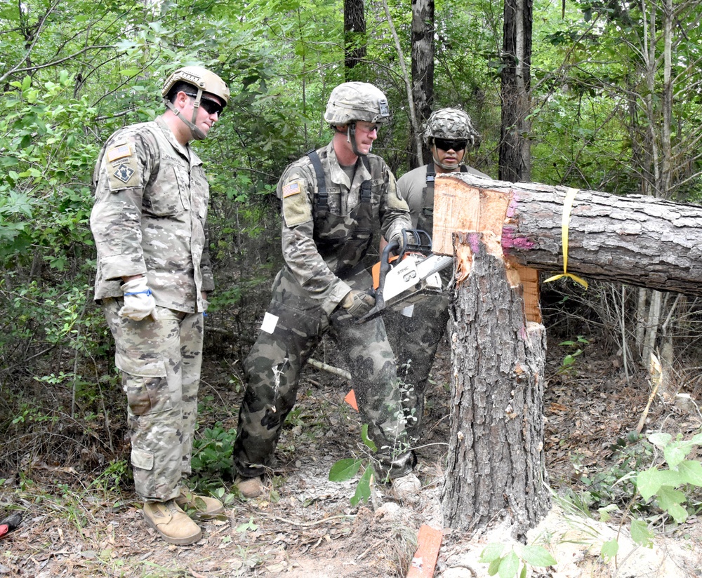 Task Force 5 offers JRTC, Fort Polk units abatis training