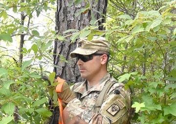 Task Force 5 offers JRTC, Fort Polk units abatis training