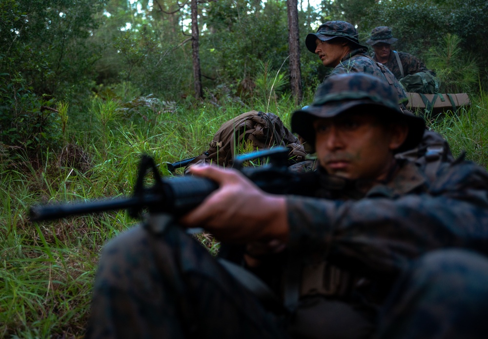 DVIDS Images Rd Recon Training Platoon Conducts Land Nav Image Of