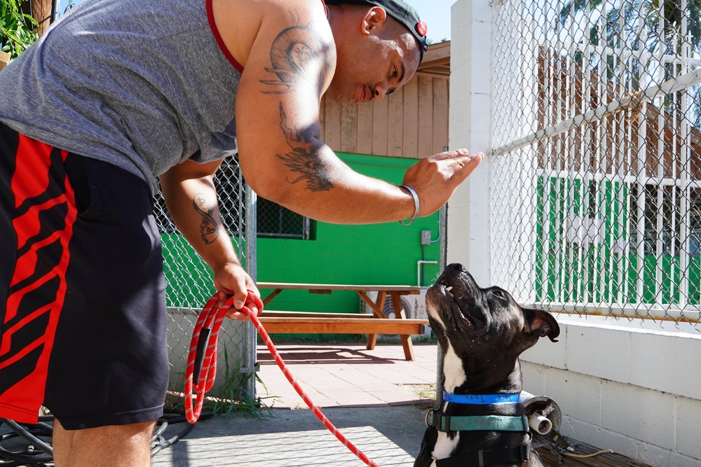 OGS Soldiers Volunteer in Laredo Texas