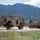 1st SBCT, 4ID rail yard operations 1st SBCT, 4ID rail yard operations