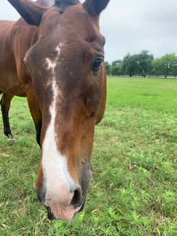 Serious injury does not rein in Fort Sill's leader's spirit