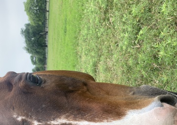 Serious injury does not rein in Fort Sill's leader's spirit