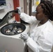 A Day at the Lab