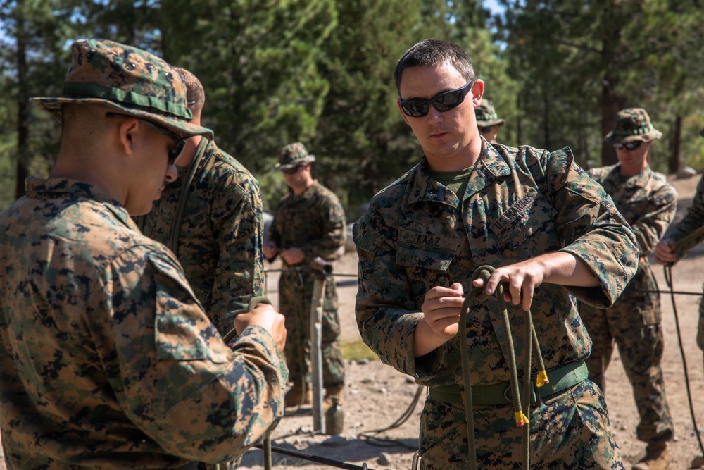 Echo Company, 4th Reconnaissance Battalion at MCMWTC