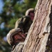 4th Recon, E Co Utilizes Climbing Skills