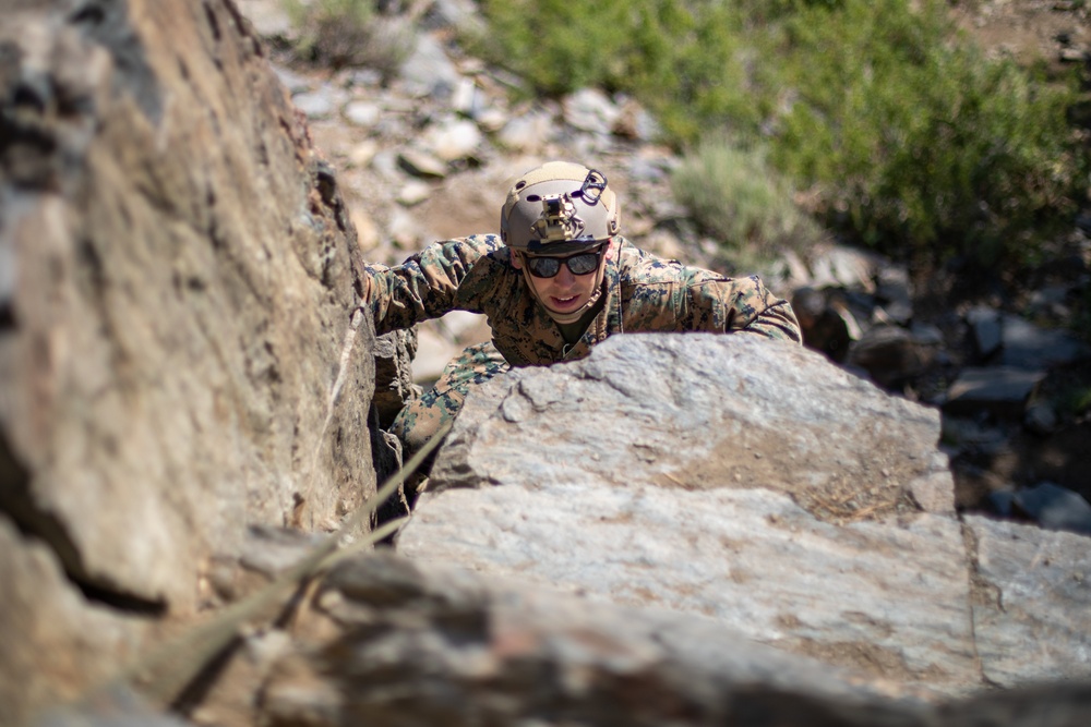 Echo Company, 4th Reconnaissance Battalion at MCMWTC