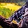 12th Combat Aviation Brigade Conducts Aerial Gunnery
