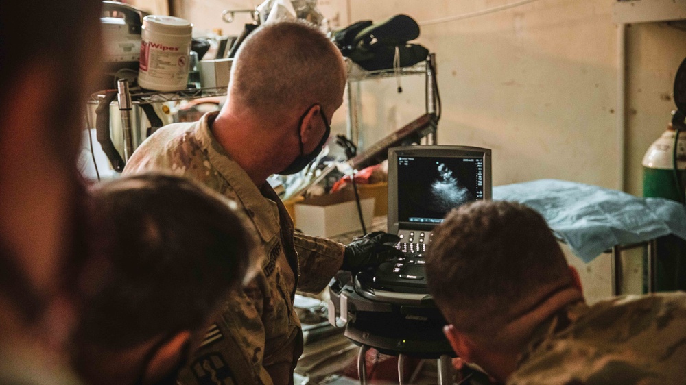 949th Medical Detachment Provides Military Working Dog (MWD) Veterinary Training