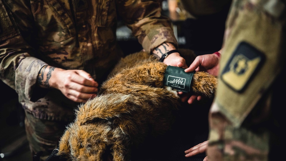 949th Medical Detachment provides Military Working Dog (MWD) veterinary training.