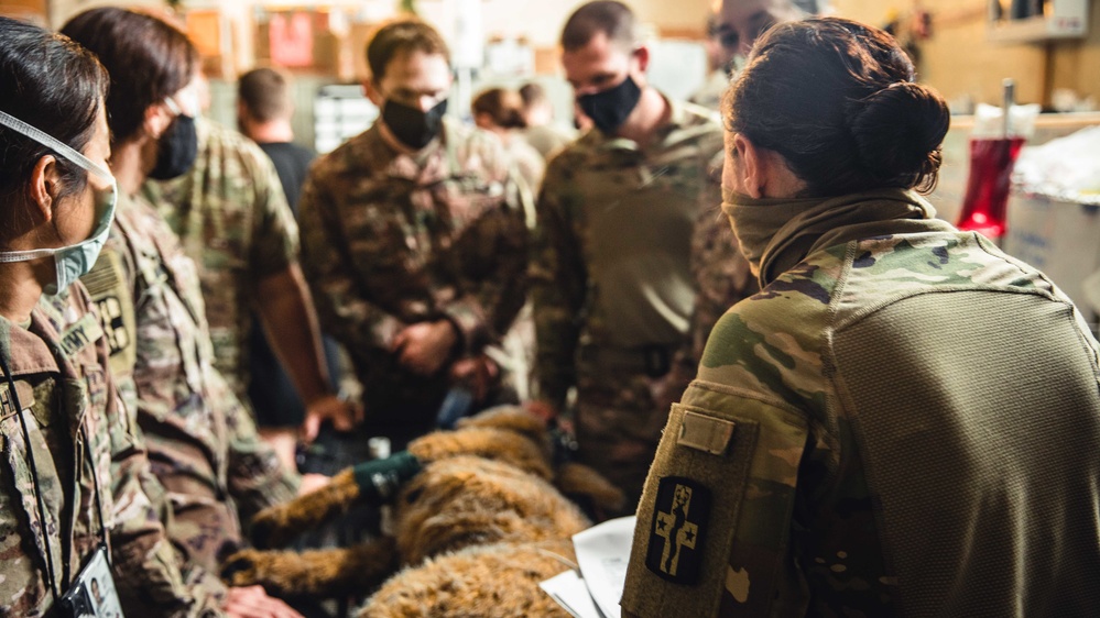 949th Medical Detachment Provides Military Working Dog (MWD) Veterinary Training