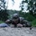 USAREUR Best Warrior Competition