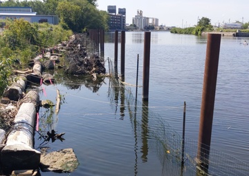 USACE completes installation of Submerged Aquatic Vegetation in the Buffalo River