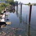 USACE completes installation of Submerged Aquatic Vegetation in the Buffalo River