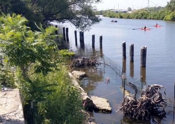 USACE completes installation of Submerged Aquatic Vegetation in the Buffalo River