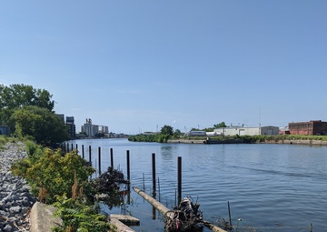 USACE completes installation of Submerged Aquatic Vegetation in the Buffalo River