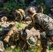 4th Recon, E Co Participate in a Modified Mountain Training Exercise
