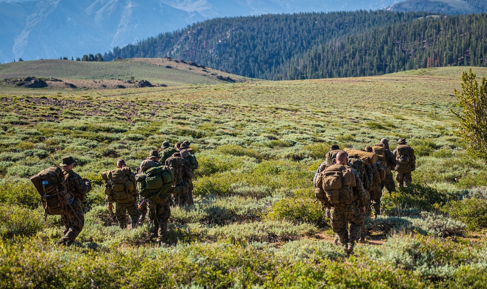 Echo Company, 4th Recon Navigating Training Grounds