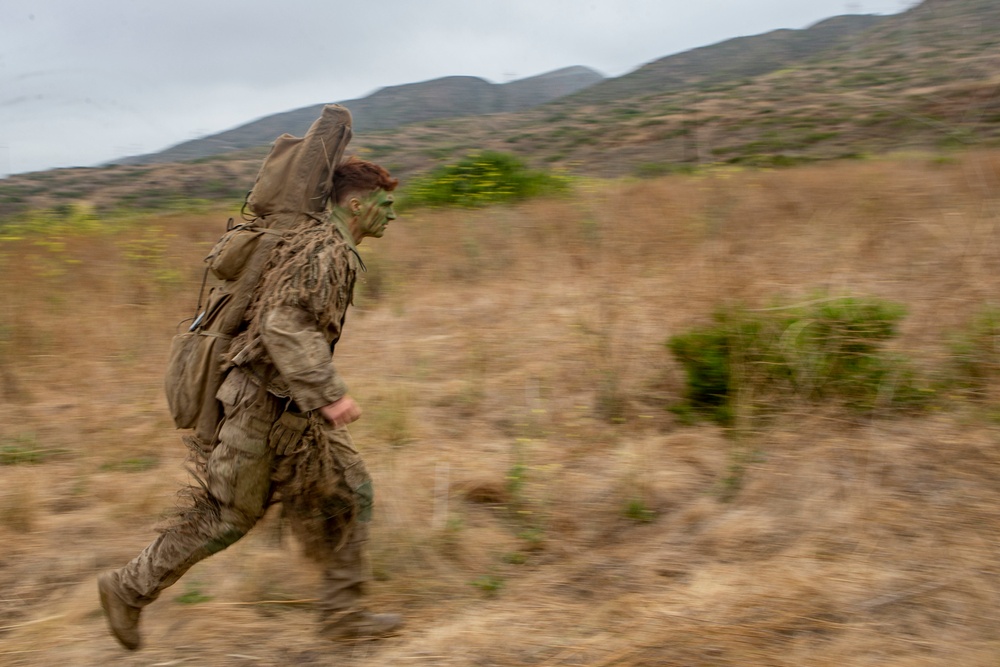 Hide and Seek: Marines with Scout Snipers Course participate in stalking exercise