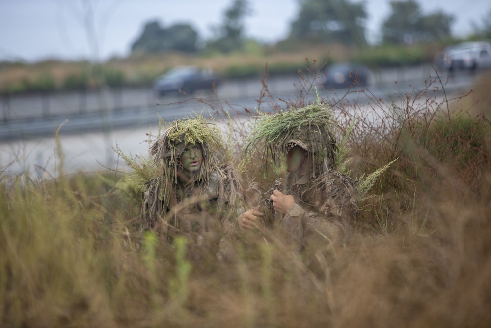 Hide and Seek: Marines with Scout Snipers Course participate in stalking exercise