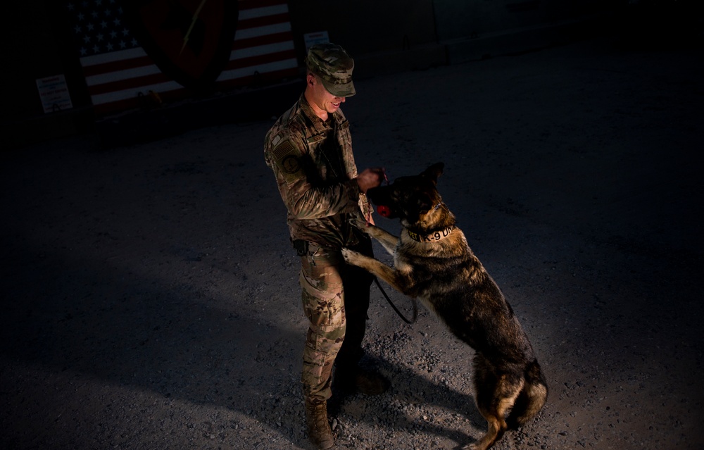 ASAB Bound: K-9 Team wins AFCENT Defender of the Month
