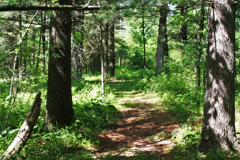 Fort McCoy's Pine View Recreation Area