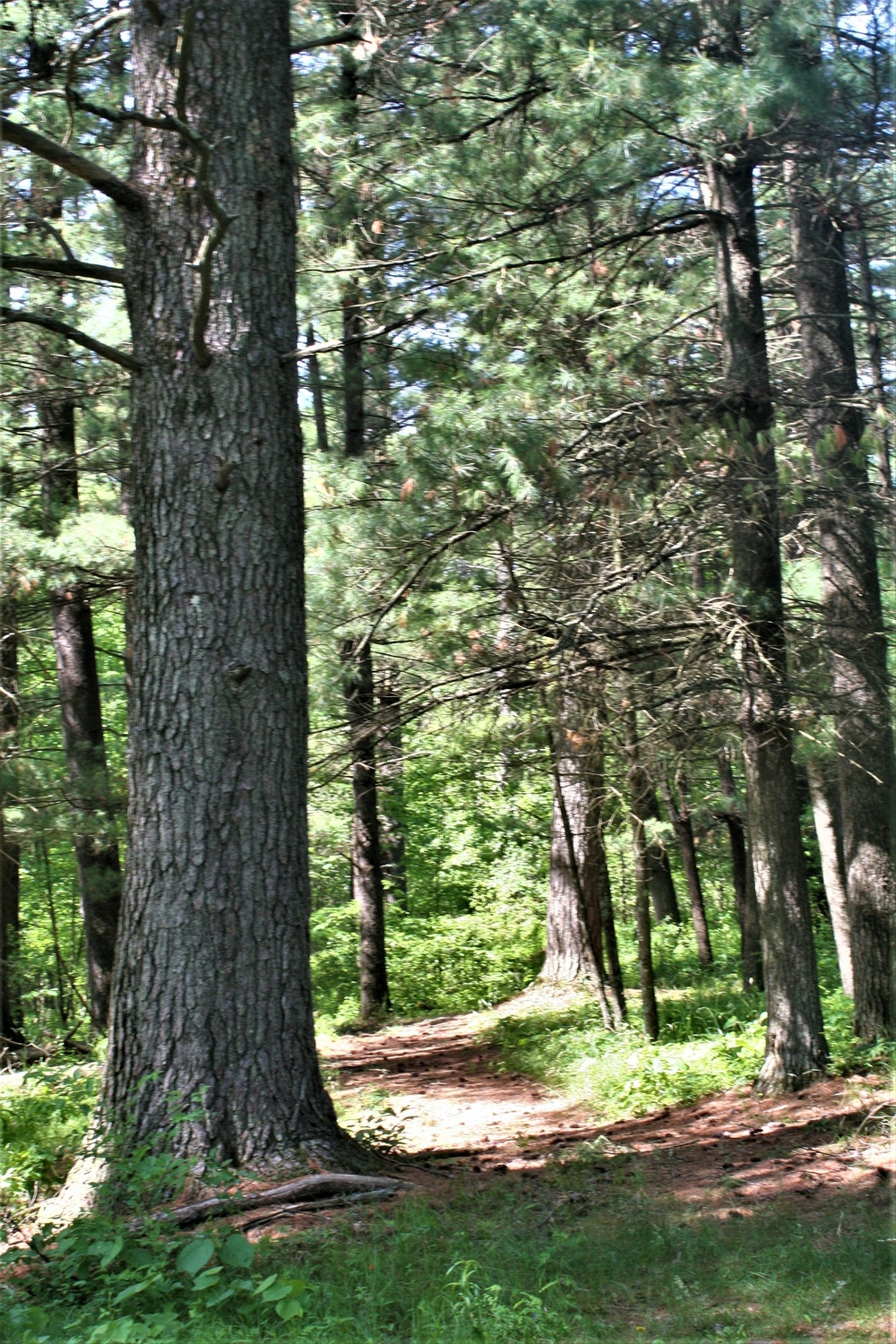 Fort McCoy's Pine View Recreation Area