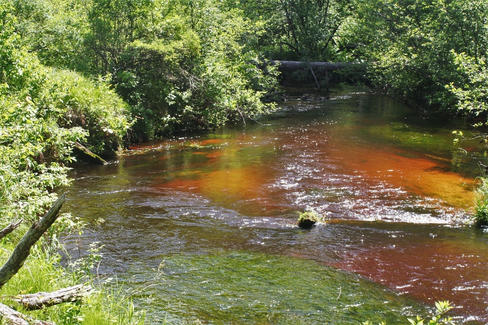 Fort McCoy's Pine View Recreation Area