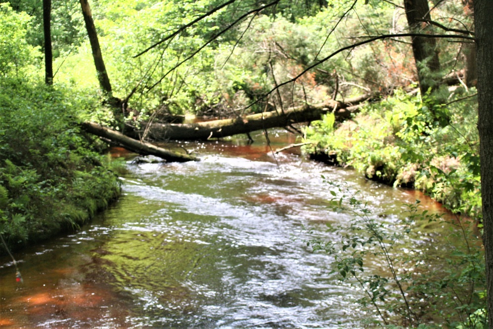 Fort McCoy's Pine View Recreation Area