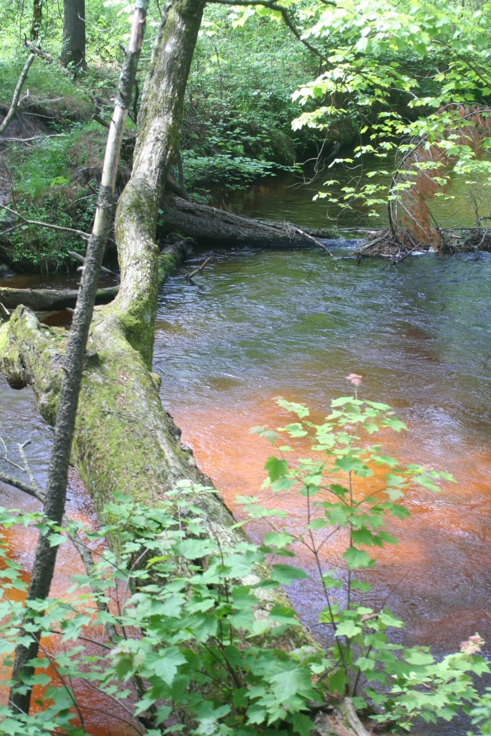 Fort McCoy's Pine View Recreation Area