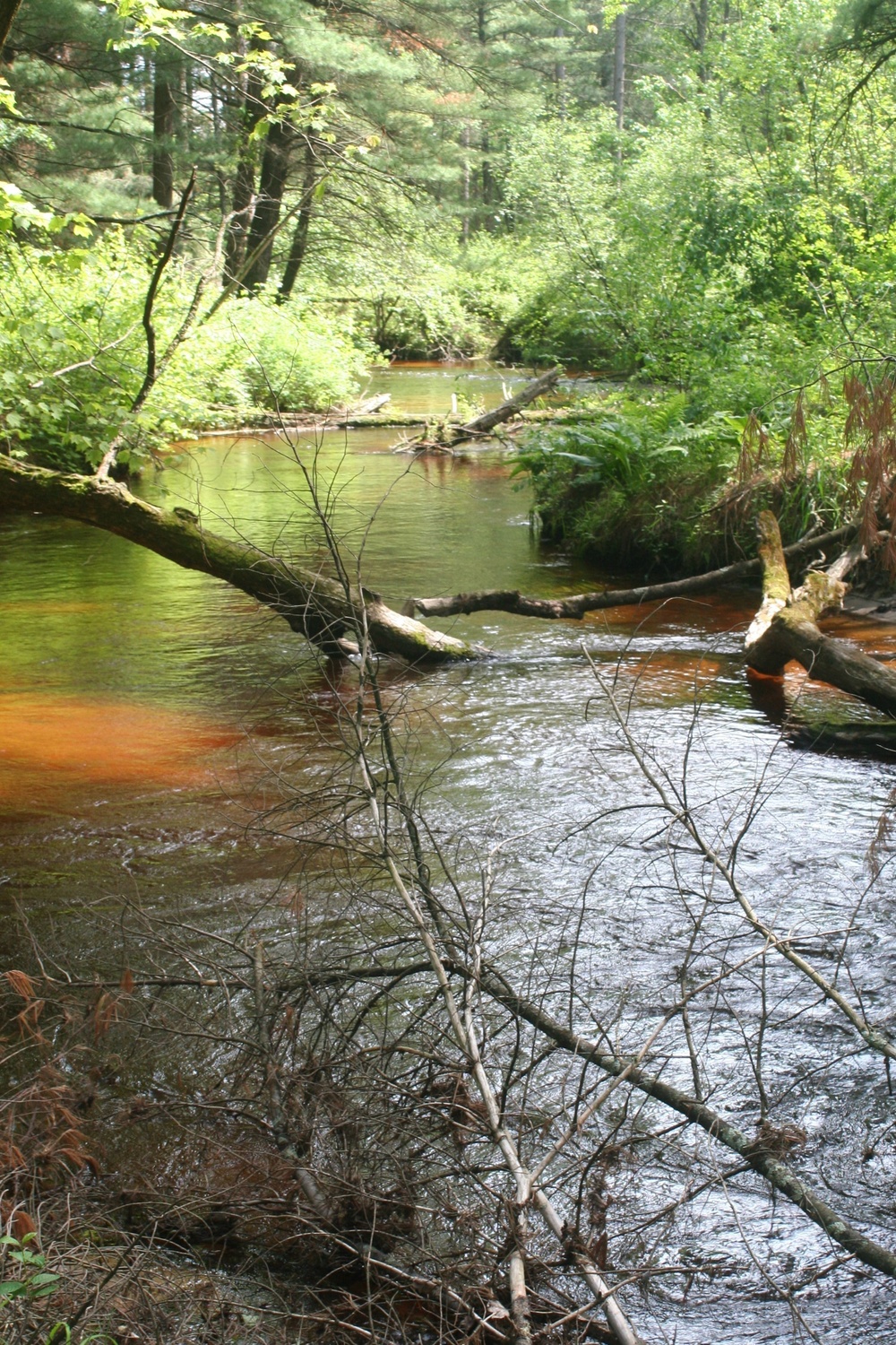 Fort McCoy's Pine View Recreation Area