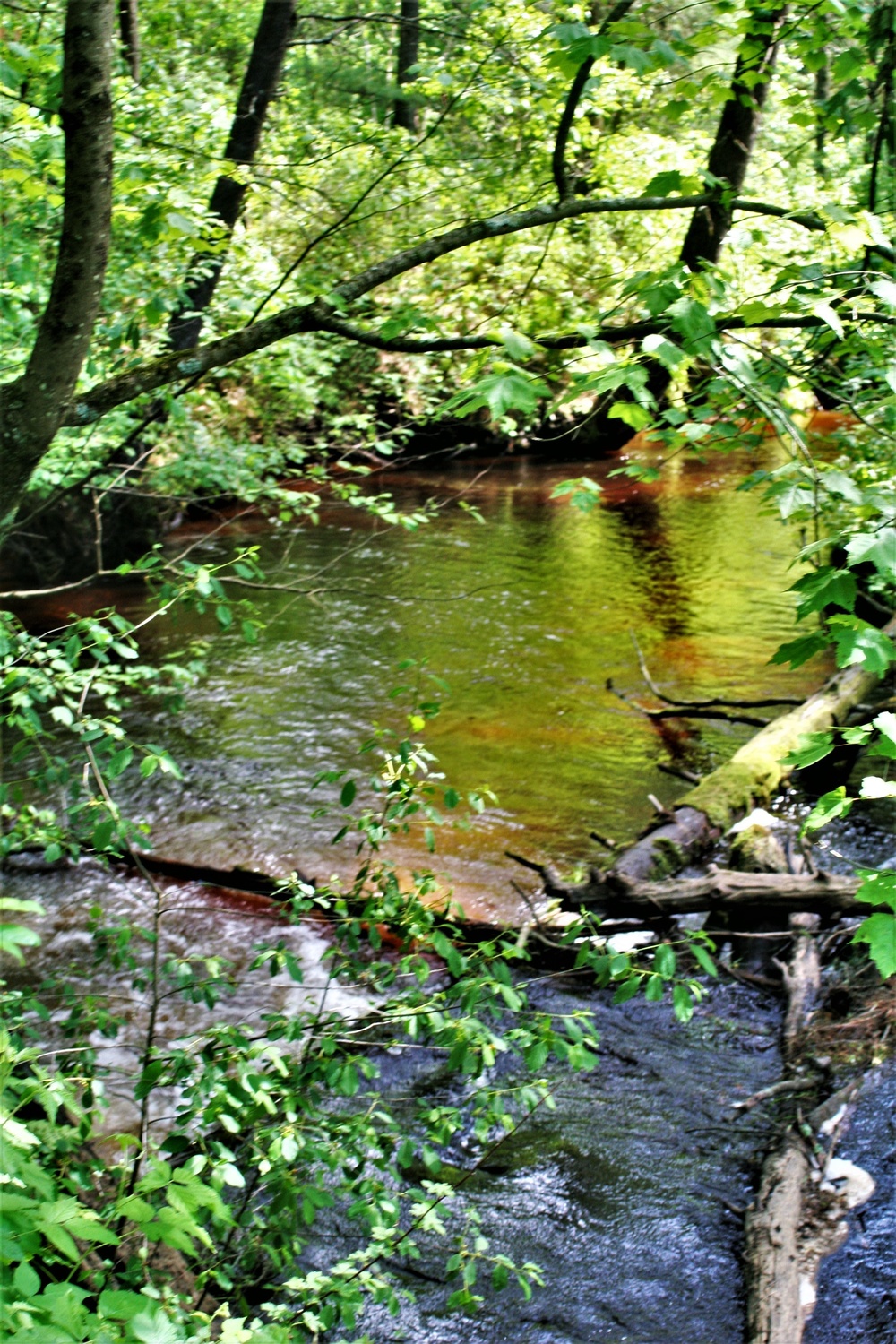 Fort McCoy's Pine View Recreation Area