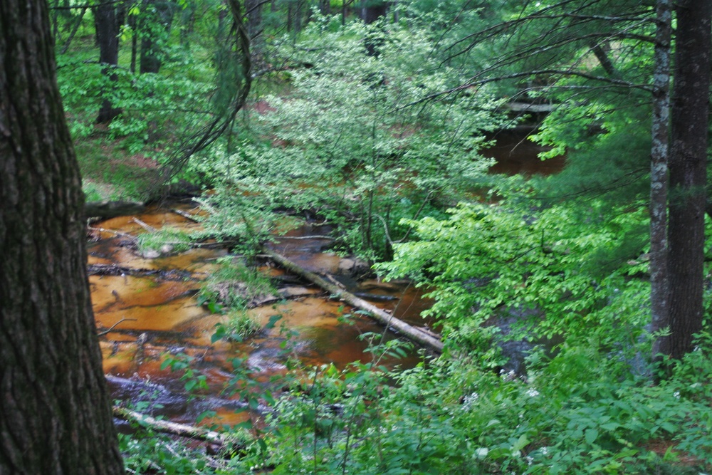 Fort McCoy's Pine View Recreation Area