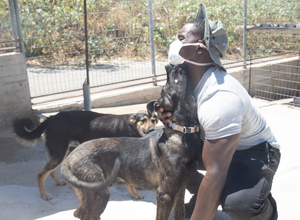 NSA Souda Bay, Greece, Sailors Volunteer at the Souda Animal Shelter