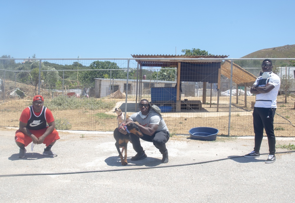 NSA Souda Bay, Greece, Sailors Volunteer at the Souda Animal Shelter