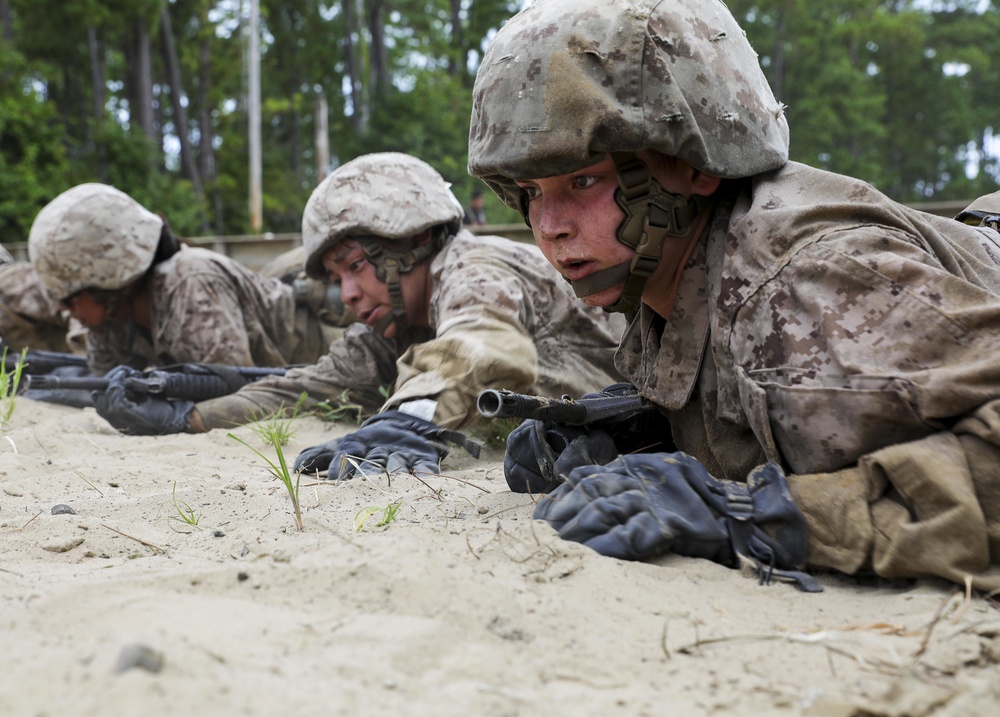 November Company Basic Warrior Training