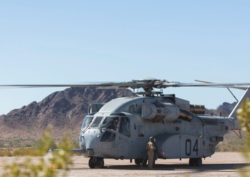 TAGRS Crown the King