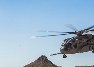 TAGRS Crown the King