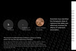 Just Enough: What Amounts to Success for a Synthetic Opioid Antidote.
