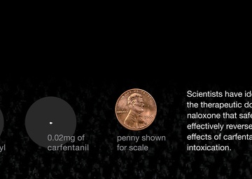 Just Enough: What Amounts to Success for a Synthetic Opioid Antidote