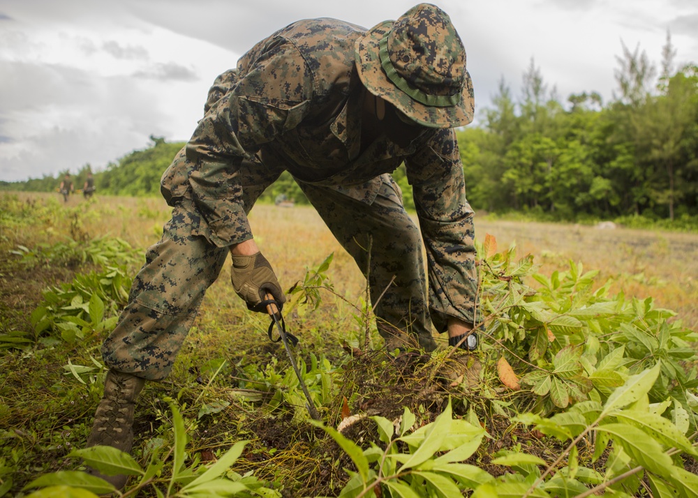 TF KM20 Marines commence Peleliu airfield repair project