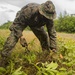 TF KM20 Marines commence Peleliu airfield repair project