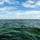 HABITATs Chasing Blue-Green Algae