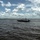 HABITATs Chasing Blue-Green Algae