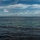 HABITATs Chasing Blue-Green Algae