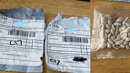 USDA guidance for handling of unsolicited seed packets received through the mail