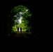 Into the tunnel