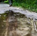 Rucking reflection