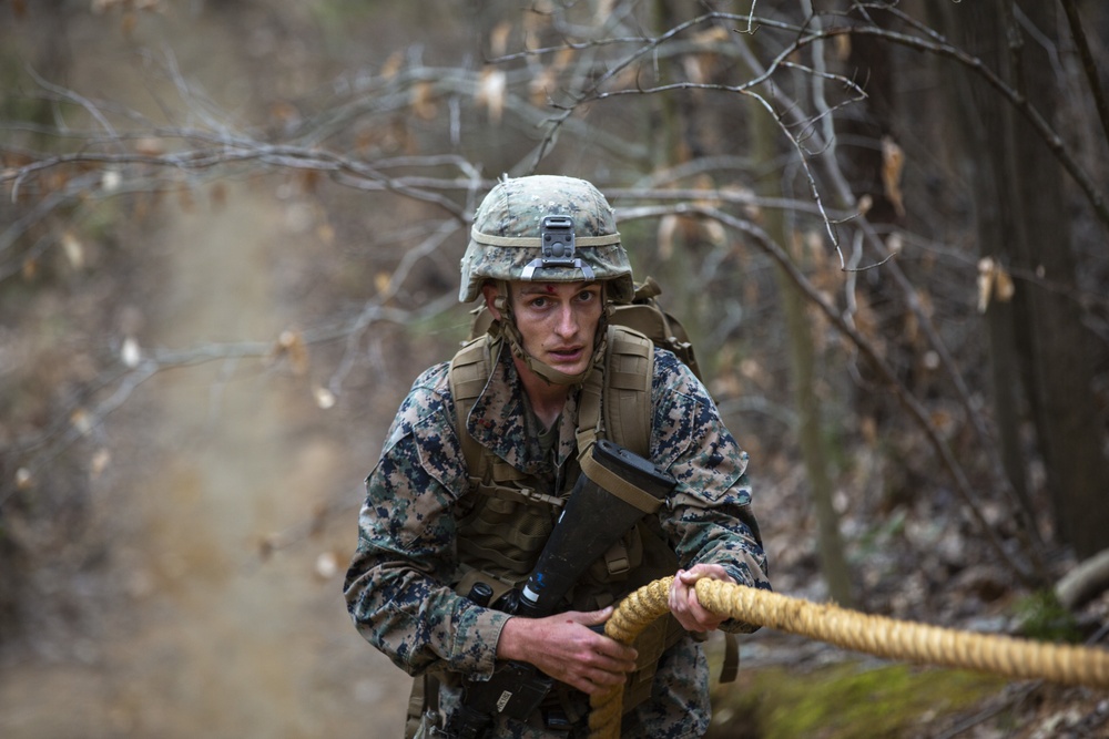 Warrant Officers run the Endurance Course